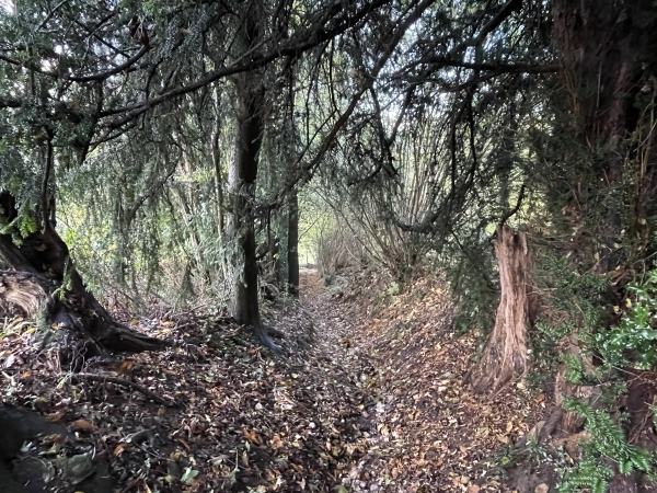 Nous descendons vers la vallée de la Fosse par ce sentier caillouteux.