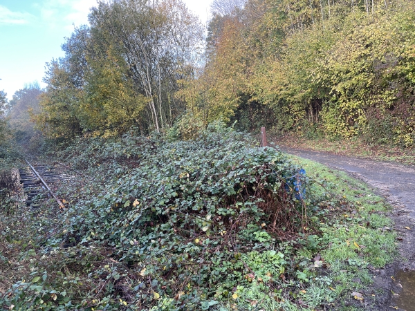 Nous traversons l'ancienne ligne ferroviaire Glos-Honfleur. Cette ligne avait été maintenue en vie par l'association Pontaurail jusqu'en 2005. Le Plan Rail 2020 de la région, envisage de réutiliser cette voie pour le trafic voyageurs ! Bonne nouvelle, mais il va y avoir du travail !