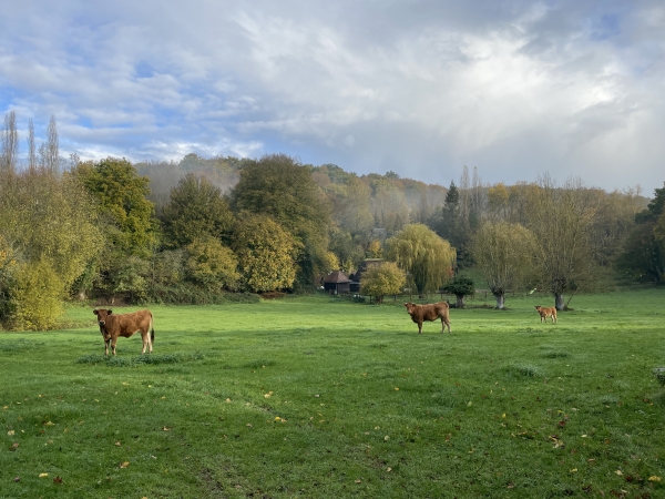 Nous arrivons au fond de la vallée.