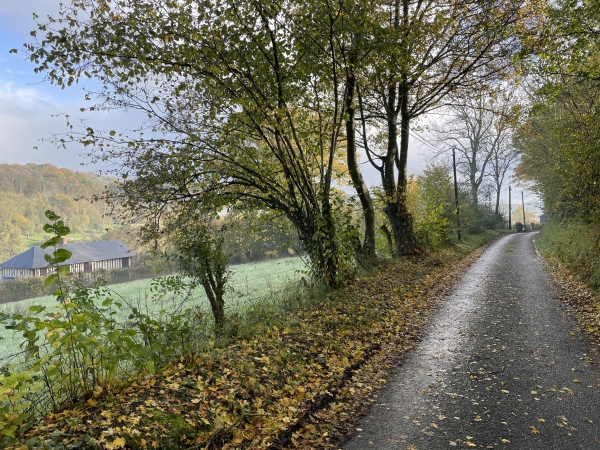 La petite route de la Fosse Cavelier avance à mi pente du coteau et domine la vallée.