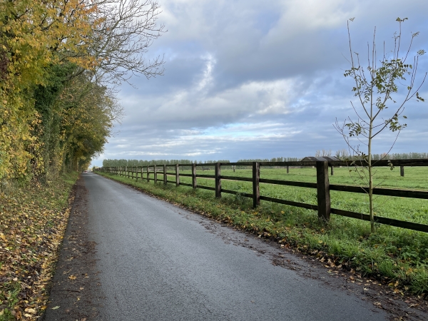 Arrivés sur le plateau, nous suivons la rue Emile Desson, entre le terrain d'entraînement des trotteurs et le château de Saint-Maclou-la-Campagne, caché par la haie à notre gauche. Le parking est au bout de cette rue.