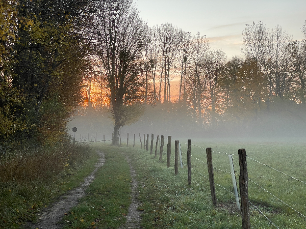 J'ai rejoint le chemin Rial qui se dirige vers les Trois Etangs.