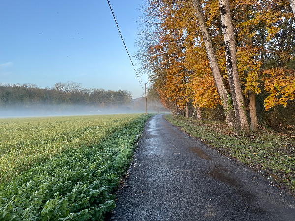 Le Chemin des Sources entre bois et champs.