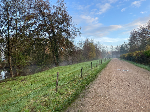 J'ai suivi la rue de l'Aulnaie, et prends la direction des étangs du Grand Hazay.