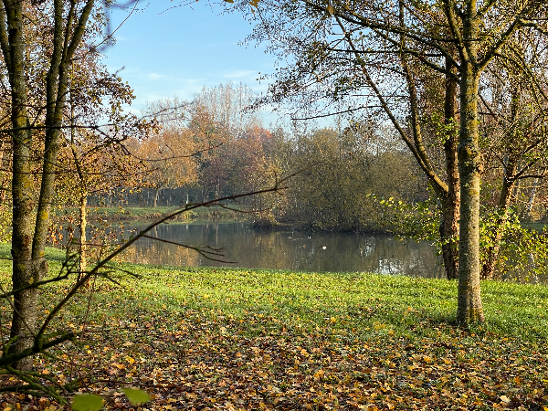 C'est le matin, je suis le seul à déranger les nombreux oiseaux des étangs.