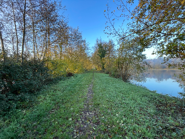 Je marche entre deux étangs. Celui de droite est le premier que je vois sans clôture.
