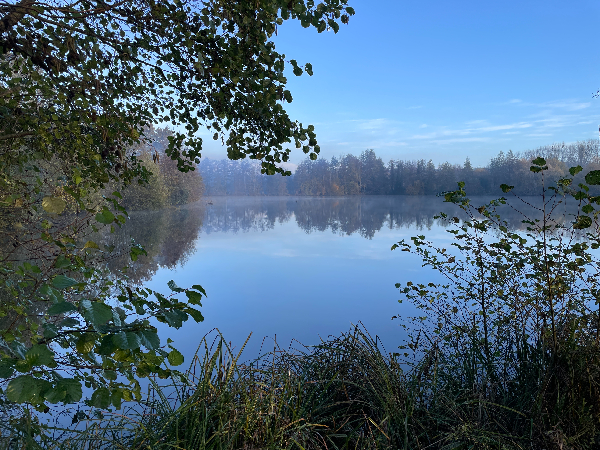 Derniers regards sur les étangs avant de revenir vers le bourg.