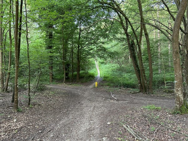 Le chemin descend un vallon avant de remonter sur le massif de la Vente des Bornes.