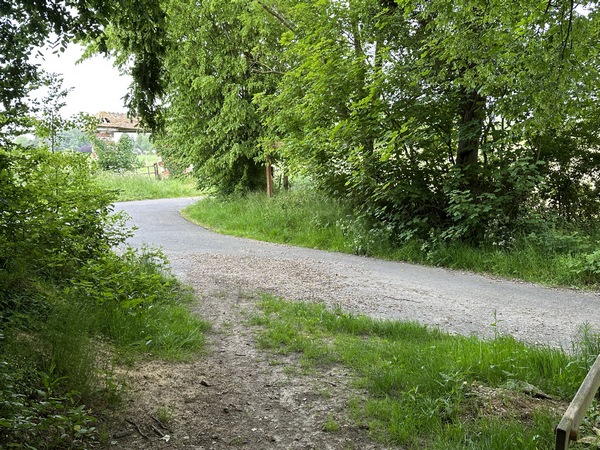 J'arrive près de La Londe, mais je vais tourner à droite, puis au premier chemin à gauche, pour rester en forêt.