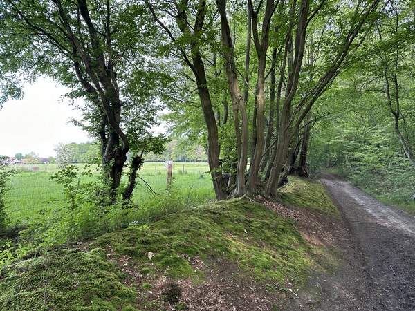Je contourne le centre équestre de La Londe sur le chemin de lisière.