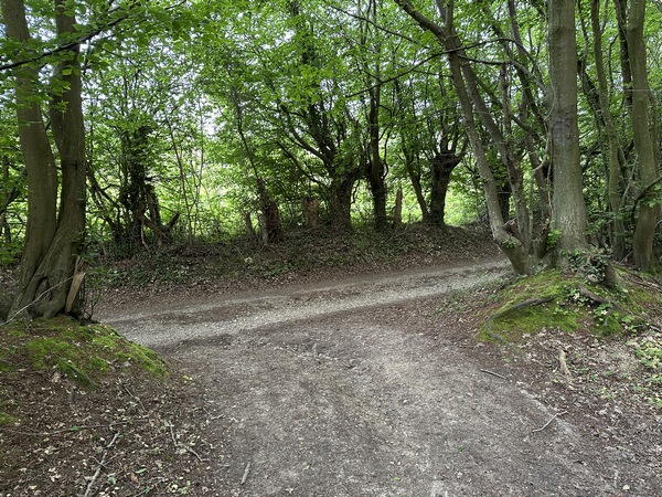 Au bout du chemin, je prends ici à droite, sur le chemin Caillou, direction plein nord.