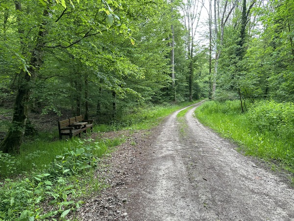 Banc pour deux, en bordure du chemin du Sanglier.