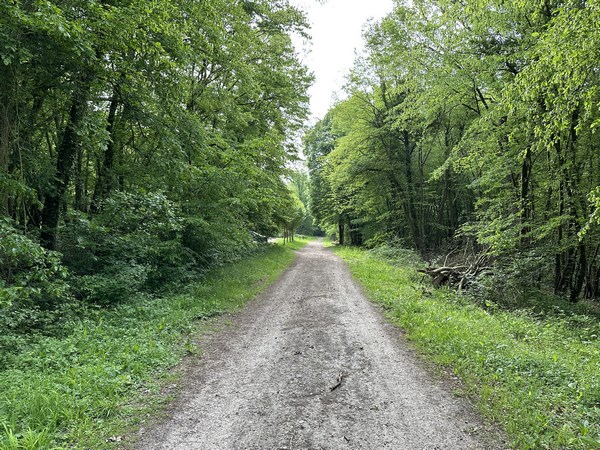 Je ferme la boucle par le sentier des Fontenelles (Trame Verte) qui rejoint le parking.
