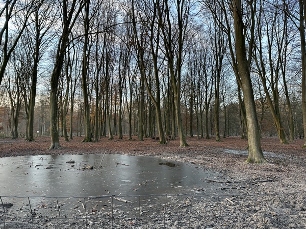Deuxième mare : la Mare aux Biches, dans le Parc Animalier.