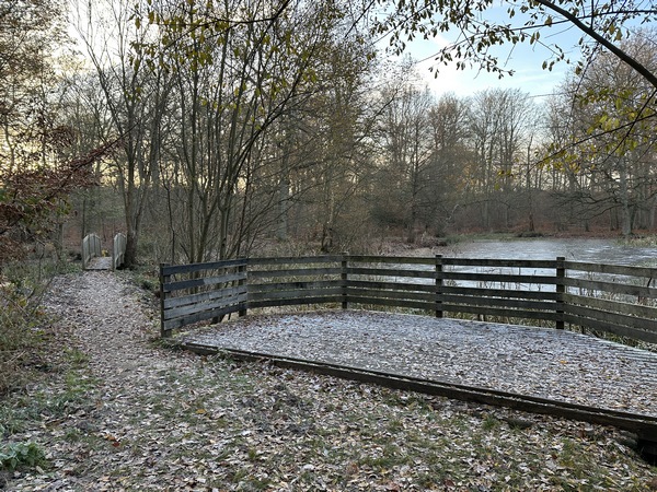 Nous voilà sur les bords aménagés de la belle Mare Epinay. Il faut voir, dans l'album, les photos que j'avais prises ici pendant la rando de Val-de-la-Haye, dans la brume !