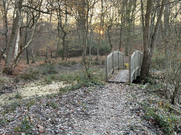Nous suivons la passerelle pour contourner la mare.