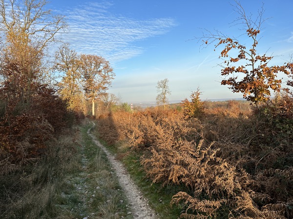 Nous suivons maintenant le chemin qui serpente sur le coteau sud du Val du Phénix.