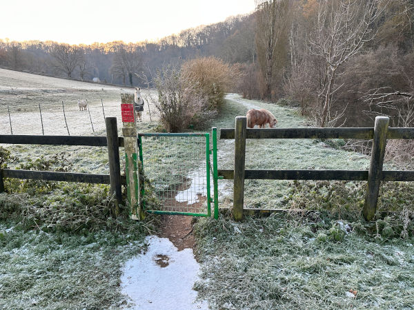 Surprise, le chemin traverse une prairie où broutent des poneys. Visiblement, ils sont habitués à voir du monde.