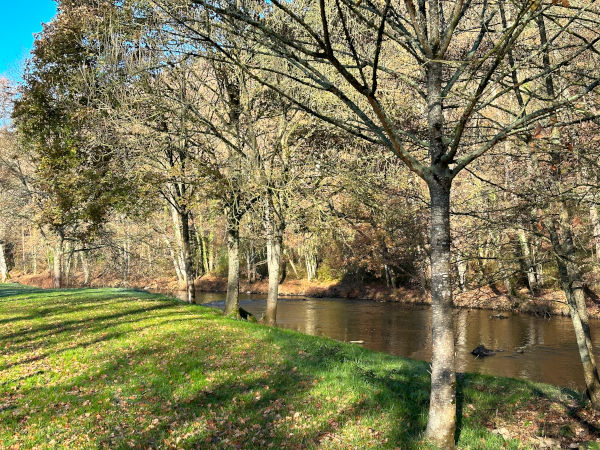 Nous avons raté le chemin qui longe la rive gauche de la Sarthe, nous passons donc par le parc municipal pour suivre la rive droite.