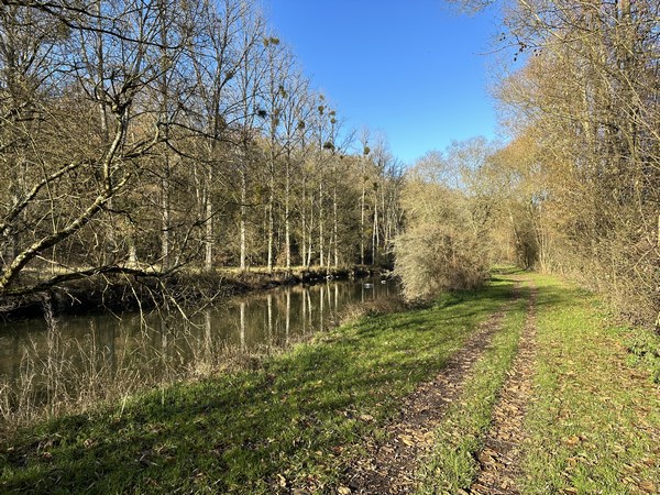 On ne se lasse jamais des bords de Sarthe !