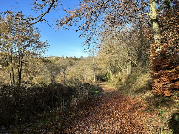 Nous quittons le GR36 pour tourner vers le moulin de Trotté.