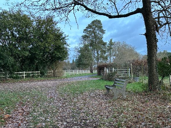 J'arrive au chemin du Point-de-Vue, au sommet du plateau.&nbsp;