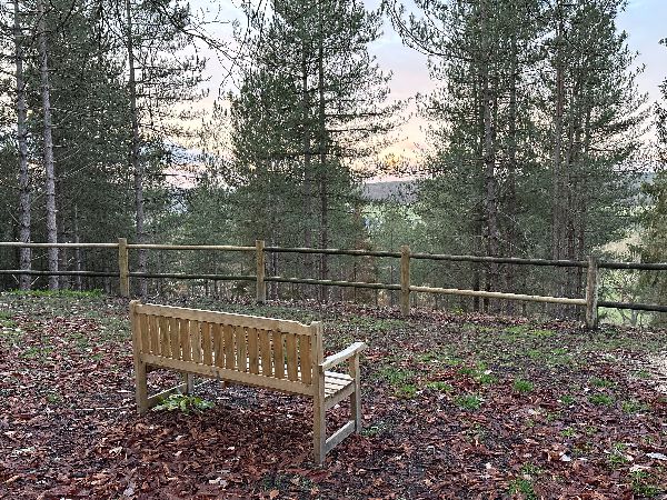 Le panorama du Reposoir est maintenant limité à la vue sur ces conifères.