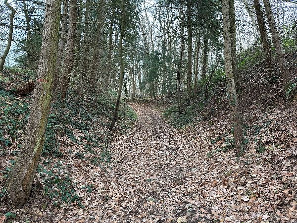 Avant le Petit Moulin, nous montons vers la D60, toujours le long du parc du château.