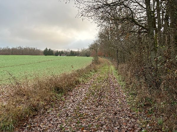Nous marchons en lisière, contrairement au GPX officiel qui fait traverser le parc du château. Les balises rouges du circuit sont bien sur la lisière, et non dans la propriété.