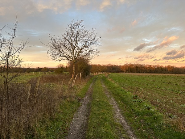 Peu après le départ, nous sommes sur notre premier chemin, et ils sont nombreux sur ce parcours.