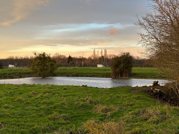 La mare du Nid de Grue.