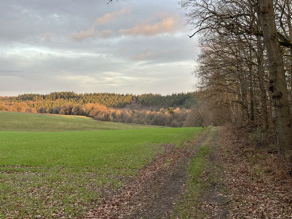 Nous descendons vers le vallon où se trouve le GR26.