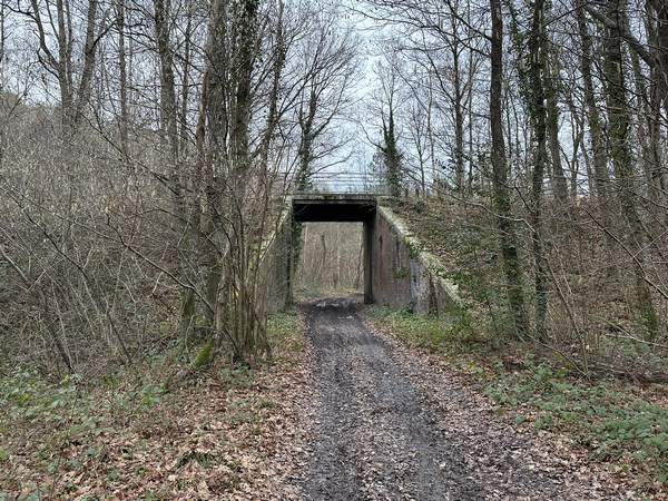 Le GR26 passe ici sous la Voie Verte.