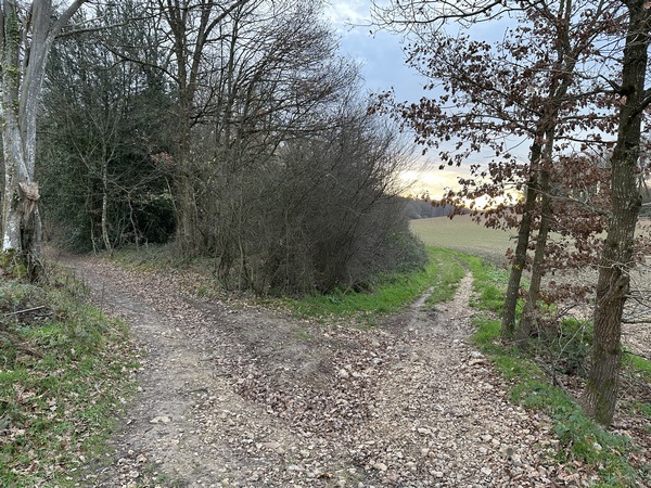 Nous quittons le GR26 pour monter vers le Colombier.