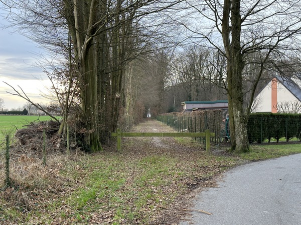 Nous avons suivi une allée d'un ancien parc du château, devenu quartier résidentiel. L'allée redevient chemin et avance droit vers l'entrée du château.