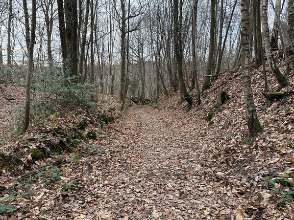 Nous quittons les abords du château et continuons sur le GR26 vers Villez-sur-le-Neubourg.