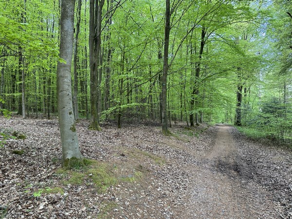 Nous tournons donc à gauche, entre les parcelles 414 et 415.