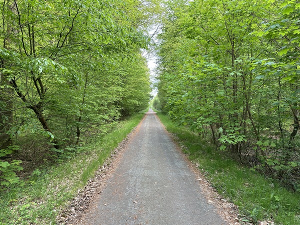 Nous suivons quelques instants la route forestière de Bourg-Achard, avant de tourner à nouveau à gauche.
