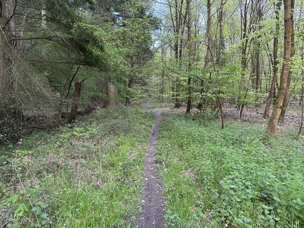 Nous suivons une ligne de coupe entre les parcelles 421 et 422.