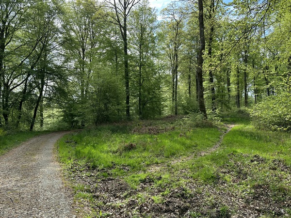 Notre boucle est fermée, nous voyons à droite le chemin que nous avions suivi plus tôt. Nous continuons tout droit pour rejoindre l'ancienne gare.