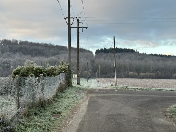 Nous quittons Normanville, et allons suivre ce chemin qui monte dans le bois du Quinconce.