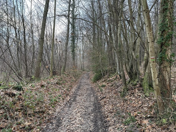 Nous sommes sur le GR222, dont on voit à droite le balisage, accompagné de celui de ce circuit.