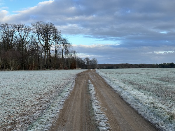 Avant d'entrer dans le bourg, nous tournons sur le chemin du Routoir, en direction du hameau de Binou.