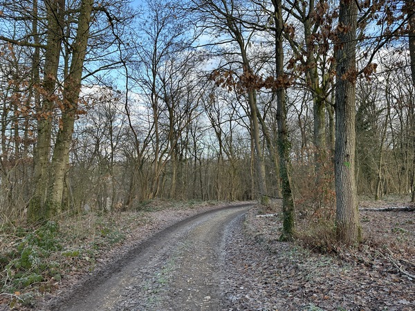 Après Binou, nous suivons le chemin de la Grande Vallée, et allons le quitter dans le virage pour descendre dans la vallée.