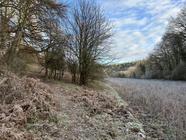Avant d'arriver à la Côte Dangereuse, nous suivons le sentier qui monte à gauche.