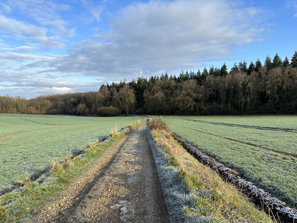 Les coteaux de l'Iton sont ici très boisés, et percés de clairières cultivées.