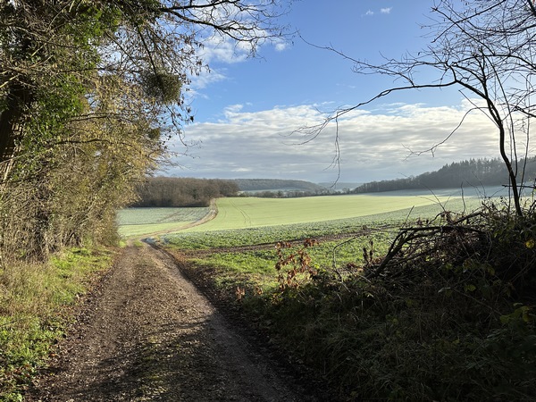 A nouveau une trouée dans les bois, ici c'est la clairière de la Ferme.