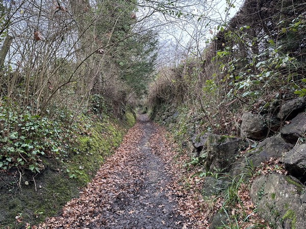 Nous avons rejoint le GR223, et le suivrons jusqu'à Auberville.