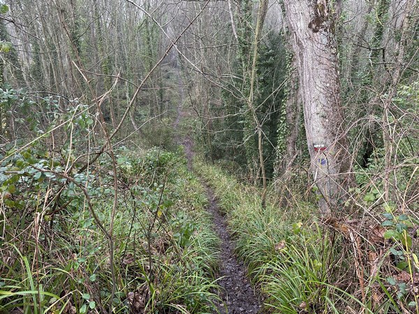 Le GR223 prend parfois un aspect un peu sauvage, et se glisse entre les propriétés Belle Epoque.