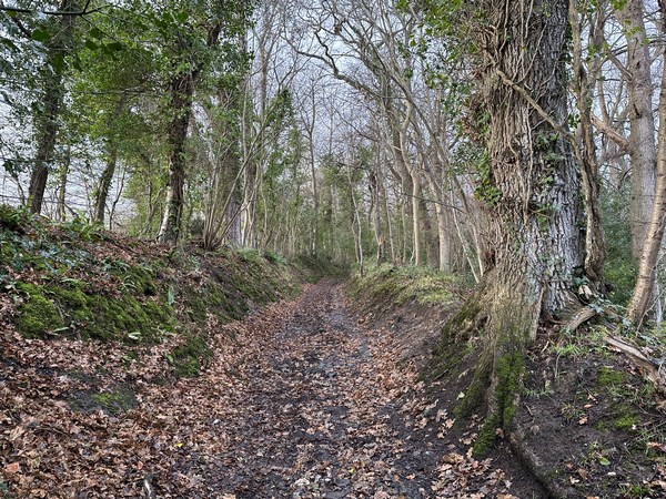 Le GR223 nous fait oublier que nous sommes sur la côte. Il faudra le quitter pour apercevoir à nouveau la mer.